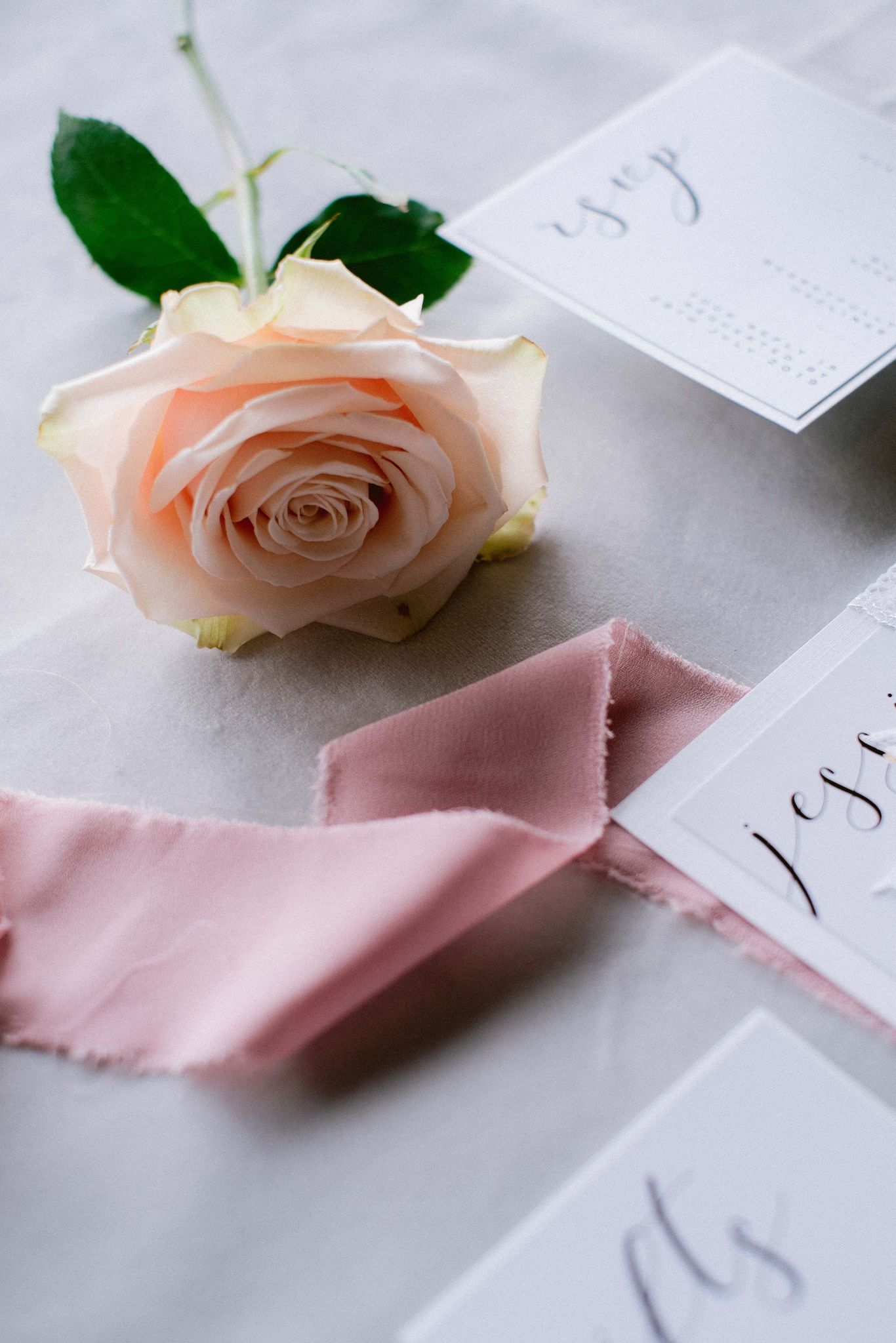 Brisbane Wedding Planner - Pink rose, pink ribbon, wedding invitation flat lay